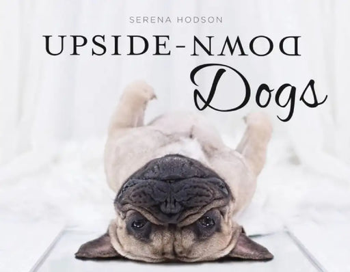 Upside-Down Dogs by Hodson, Serena