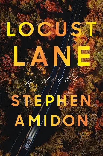 Locust Lane : A Novel by Stephen Amidon
