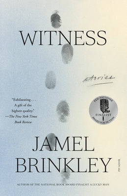 Witness: Stories by Jamel Brinkley