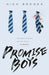 Promise Boys by Nick Brooks