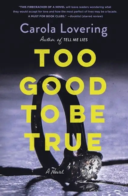 Too Good to Be True by Carola Lovering