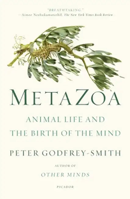 Metazoa: Animal Life and the Birth of the Mind by Peter Godfrey-Smith