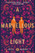 A Marvellous Light by Freya Marske