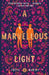 A Marvellous Light by Freya Marske
