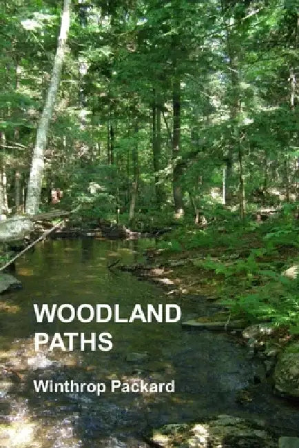 Woodland Paths by Winthrop Packard