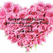 Pocket Guide to Love by Tammy Parker Cox