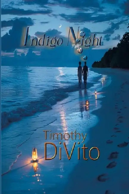 Indigo Night by Timothy DiVito