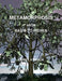 Metamorphosis from Rag's to Riches by Daniel Brack