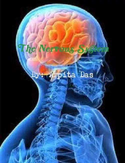 The Nervous System by Arpita Das