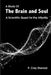 A Study Of The Brain and Soul: A Scientific Quest for the Afterlife by P. Clay Sherrod