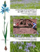 Archaeological Investigations at the Mill Creek Site Complex: I-5/North Santiam Highway Interchange, Marion County, Oregon by Thomas J. Connolly, Guy L. Tasa, Paul W. Baxter