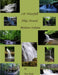 110 Waterfall Hikes Around Madison Indiana by Tina Karle