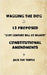 Wagging The Dog and 13 Proposed "21st Century Bill of Rights" Constitutional Amendments: Returning the Control of Government to the Citizens by Turtle, Jack