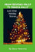 From Bedford Falls to Seneca Falls: And Other Holiday Stories by Steve Newvine