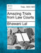 Amazing Trials from Law Courts by Bhawani Lal