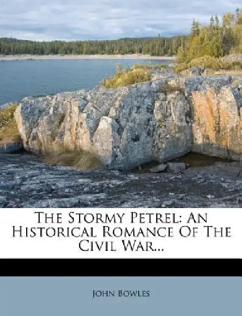 The Stormy Petrel: An Historical Romance of the Civil War... by John Bowles