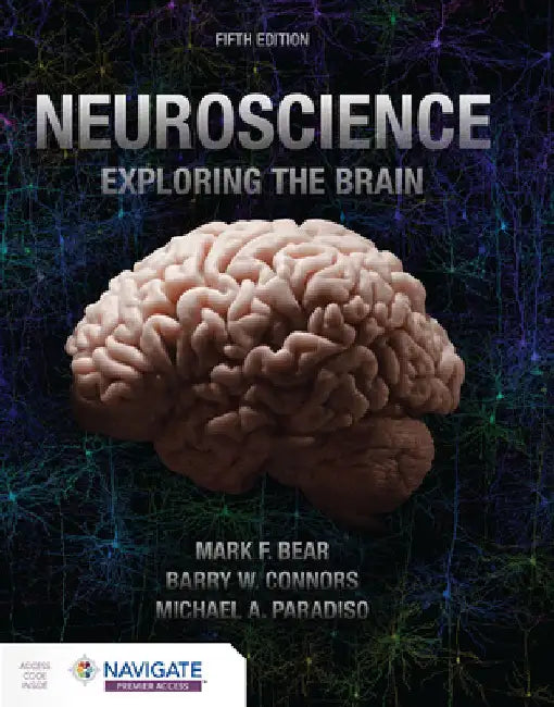 Neuroscience: Exploring the Brain by Mark Bear