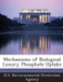 Mechanisms of Biological Luxury Phosphate Uptake by U S Environmental Protection Agency
