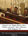 Report on Eagle Nest Lake, Colfax County, New Mexico: EPA Region VI by U S Environmental Protection Agency