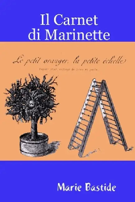 Il Carnet di Marinette by Marie Bastide