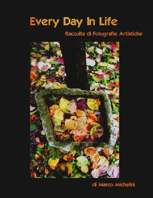 Every Day In Life (Eventi M ) by Marco Michelini