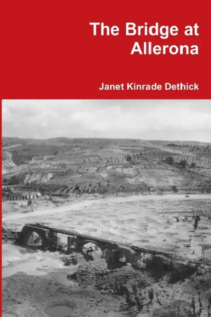 The Bridge at Allerona by Janet Kinrade Dethick