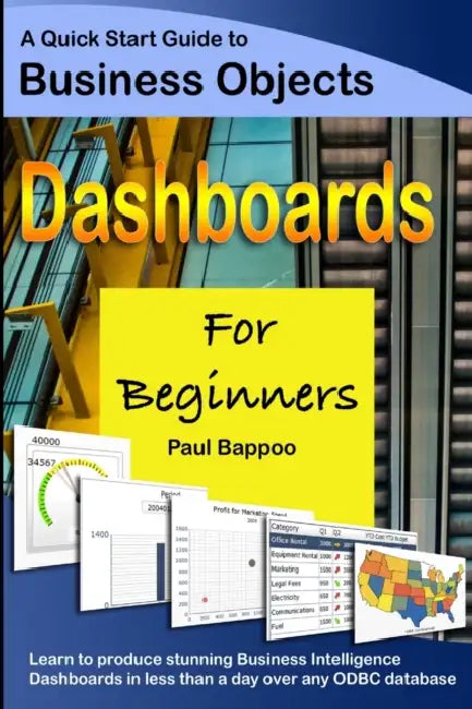 Business Objects Dashboards for Beginners by Paul Bappoo