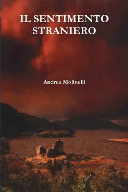Il sentimento straniero by Andrea Molinelli