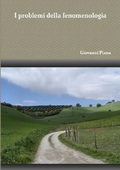 I problemi della fenomenologia by Giovanni Piana