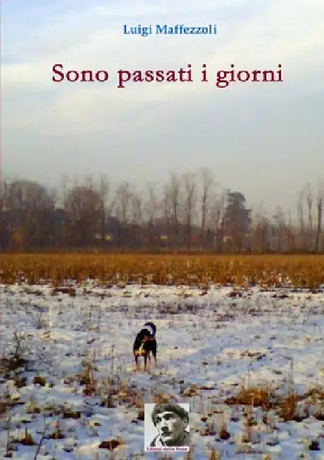 Sono passati i giorni by Luigi Maffezzoli