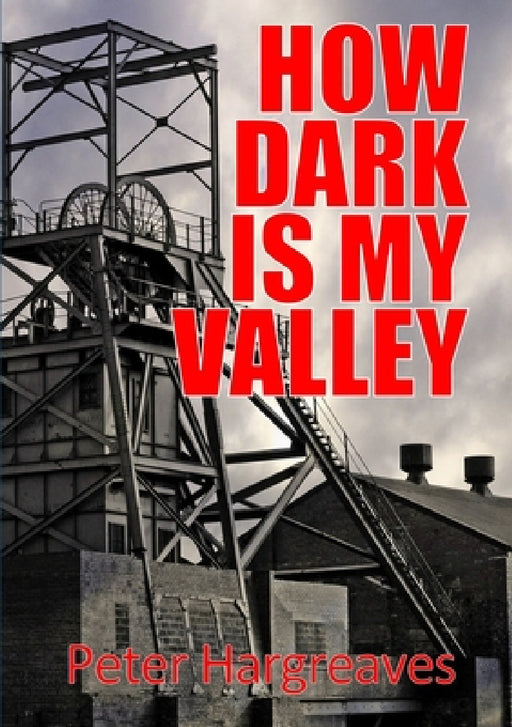 How Dark is My Valley by Peter Hargreaves