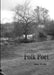 Folk Poet by Max Wolfe