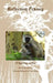 Reflection Frames by Emmanuel Gianquitto, Ans Koning