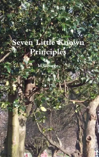 Seven Little Known Principles by M. George