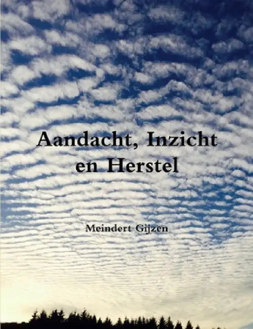 Aandacht, Inzicht en Herstel by Meindert Gijzen