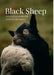 Black Sheep by Darryl Kennedy