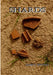 Shards by James E. Jennings