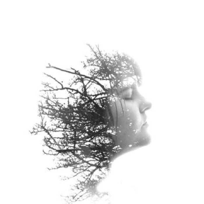 White Feather by Adele Carne
