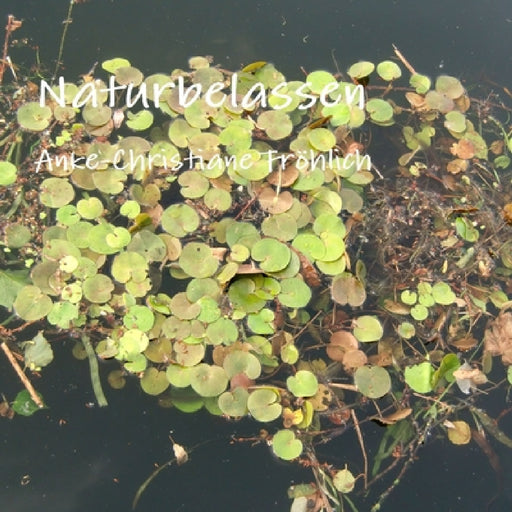 Naturbelassen by Anke-Christiane Fröhlich