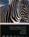 Data Structures and Problem Solving Using Java by Mark Weiss