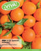 Viva! AQA GCSE Spanish Foundation Student Book by Christopher Lillington