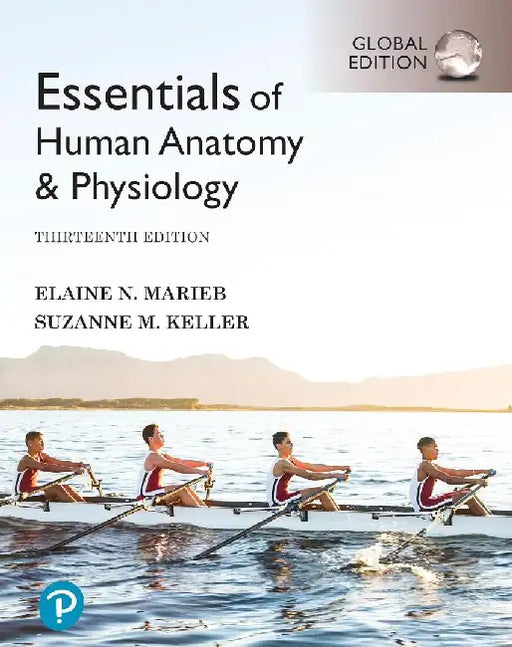 Essentials of Human Anatomy & Physiology, Global Edition + Mastering A&P with Pearson eText by Elaine Marieb