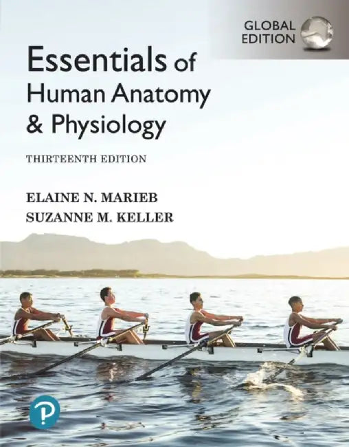 Essentials of Human Anatomy & Physiology by Elaine N. Marieb, Suzanne M. Keller