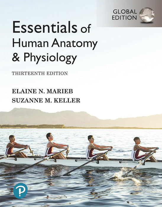 Essentials of Human Anatomy & Physiology by Elaine N. Marieb/Suzanne M. Keller