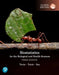 Biostatistics for the Biological and Health Sciences, Global Edition by Mario Triola
