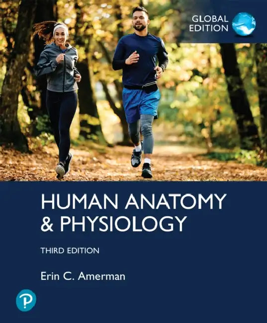 Human Anatomy & Physiology by Erin Amerman