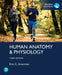 Human Anatomy & Physiology by Erin Amerman