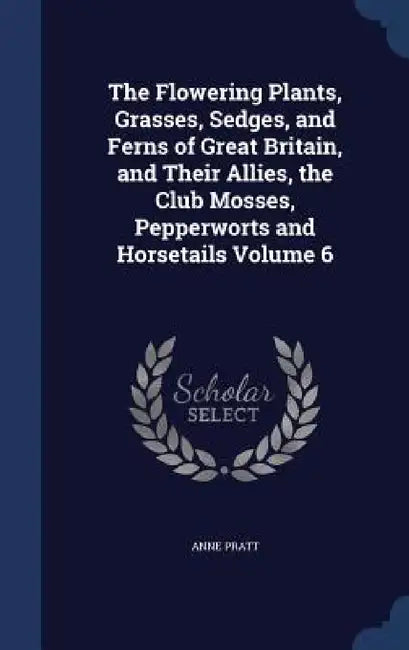 The Flowering Plants, Grasses, Sedges, and Ferns of Great Britain, and Their Allies, the Club Mosses, Pepperworts and Horsetails Volume 6 by Anne Pratt