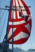 More Stories From a Trepid Sailor by Jacquelyn Watt