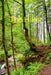 The Hiker: Michael J Bryant by Michael J. Bryant